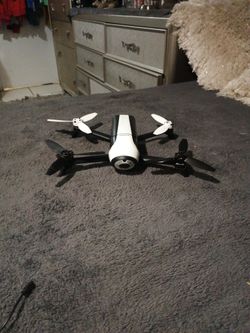 Parrot Drone