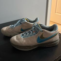 NIKE LeBron 20 UNKNWN Message in a Bottle Size 9