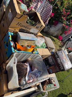 Free boxes