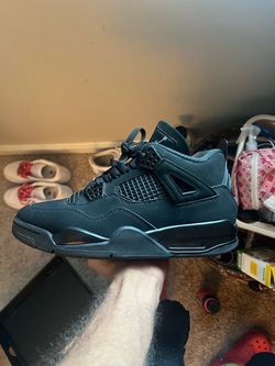 Black cats