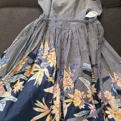 Brand New Charlotte Ruse Sundress