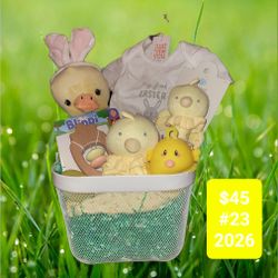 Baby chick Easter basket
