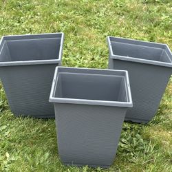 Flowers planters $30 for all