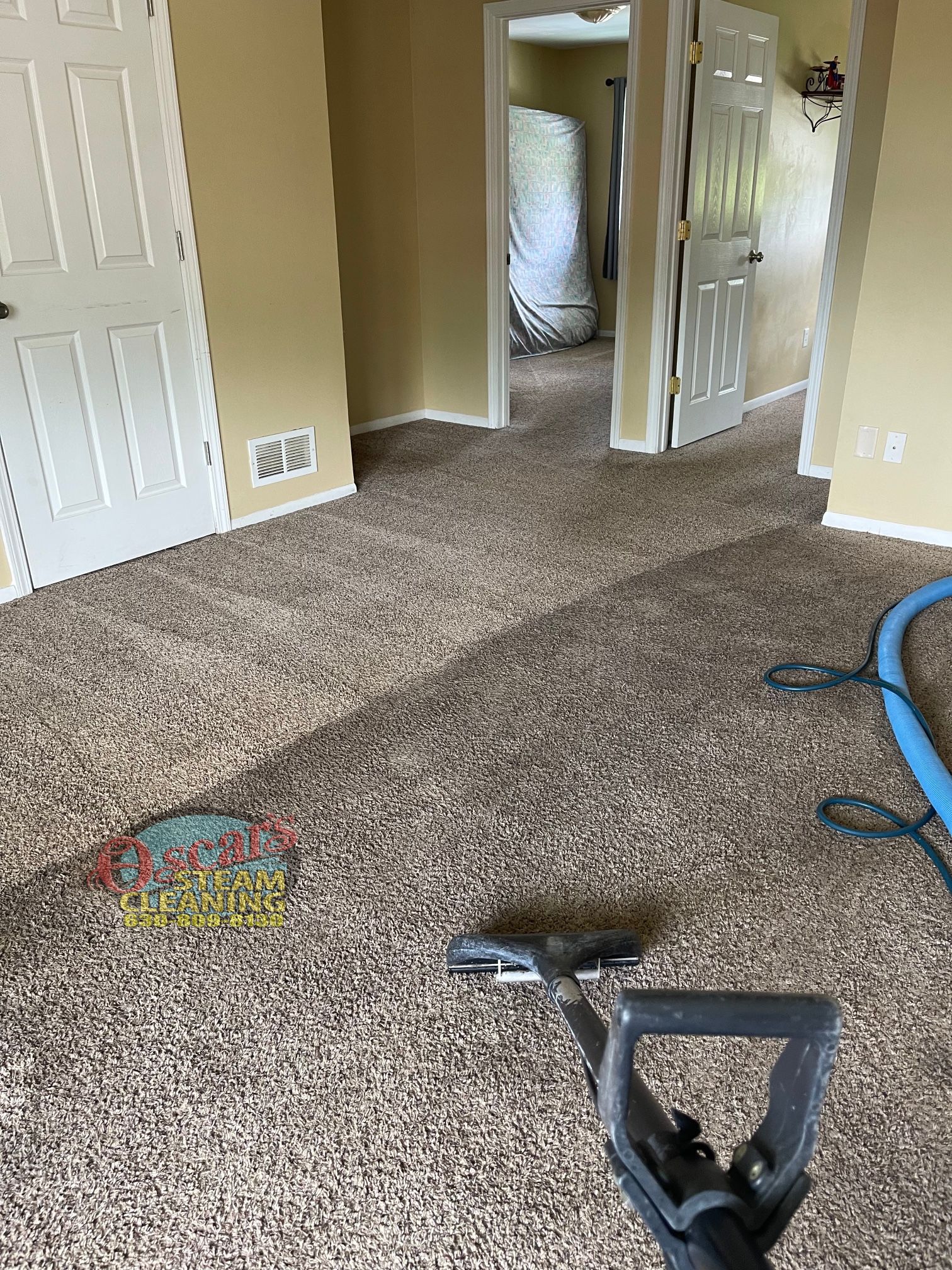 Carpet Steam Cleaner