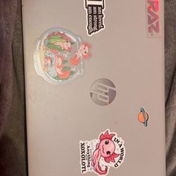 14” chromebook laptop
