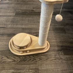 Cat Toy