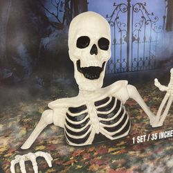 Brand New 35 Inch Skeleton Halloween Decoration
