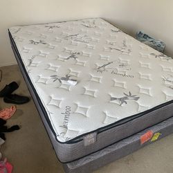 Queen Bed For Sale