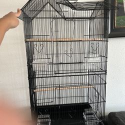 Bird Cage