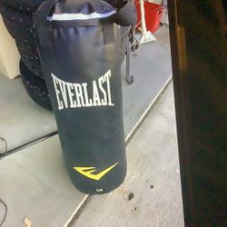 Everlasting Punching Bag