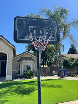 Lifetime basketball ball hoop