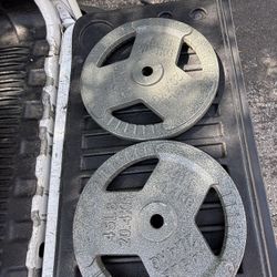 Weight Plates 1” Pair 45#