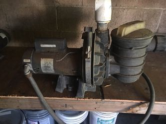 Pool/ spa pump 230 V.