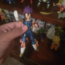 Kong ultra ego vegeta
