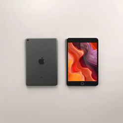 Ipad Mini 5