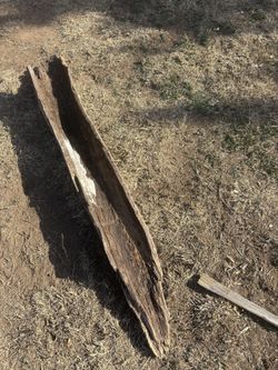 Lake Travis Driftwood From Spicewood 