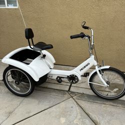 Electric Bike