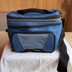 Insulated lunch cooler bag  "FROZN" “COLD TO THE CORE"