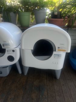 Self cleaning cat litter box