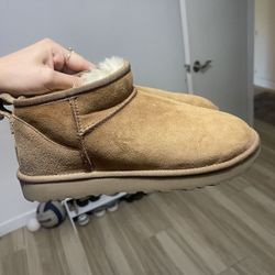 Chestnut Mini Uggs