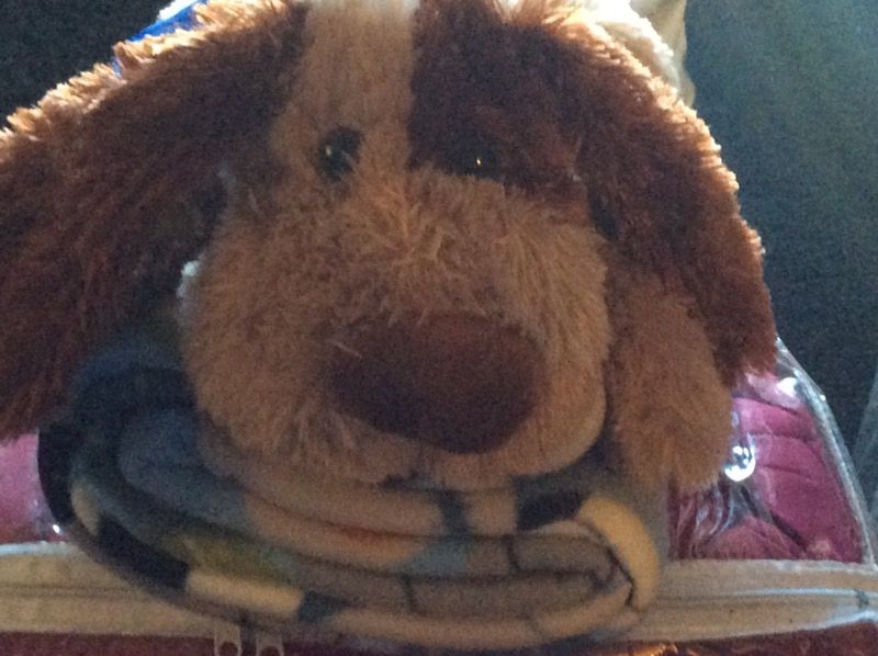 Puppy with plush blanket