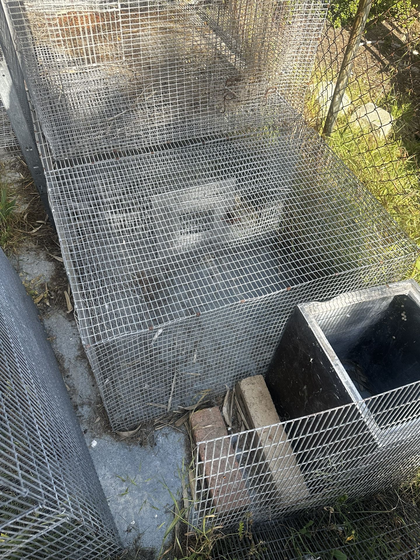Bird Cage