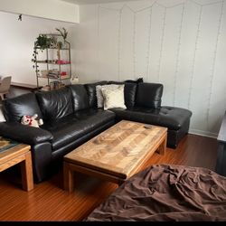 Big Leather L Couch 