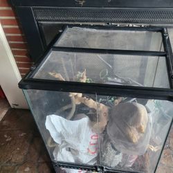 Glass Terrarium Enclosure The Top Needs To Be Fixed Comes With Everything Inside