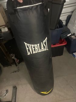 Everlast Heavy Punching Bag with Heavy Duty Stand Set