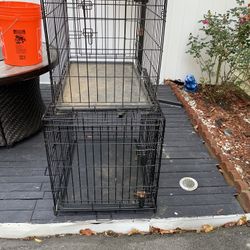 Dog  Cage
