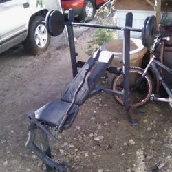 Weight Bench 100 Lb Weight And A Curling Bar 