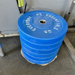 45 Lb Bumper Plates (Weights)