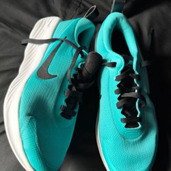 Nike Promina Men’s 8
