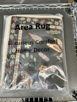 Area rug 24 x27