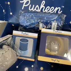 Pusheen Starry Night Box