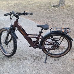 Ebike (Radster Trail)