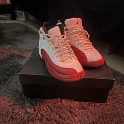 Air Jordan 12 Cherrys, Size 6
