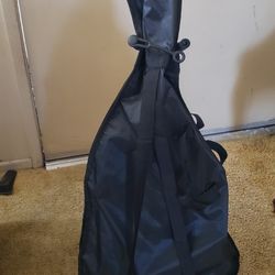 Electric Guitar With Wammy Bar