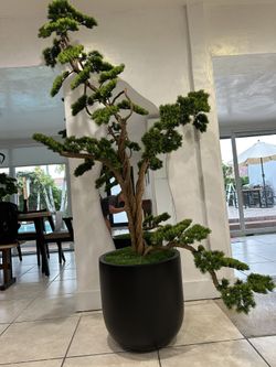 Artificial Bonsai Tree 7in Exotic Realist.