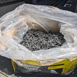 Drywall Screws 