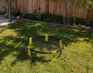 spike ball net (game)