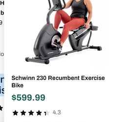 Schwinn 230 Recumbent Exercise Bike