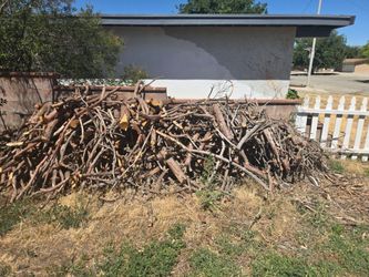 Pine wood