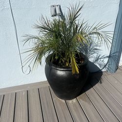 Large Planter Flower Pot