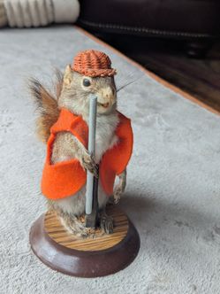 Just a squirrel looking for a