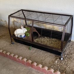 Pet Enclosure 
