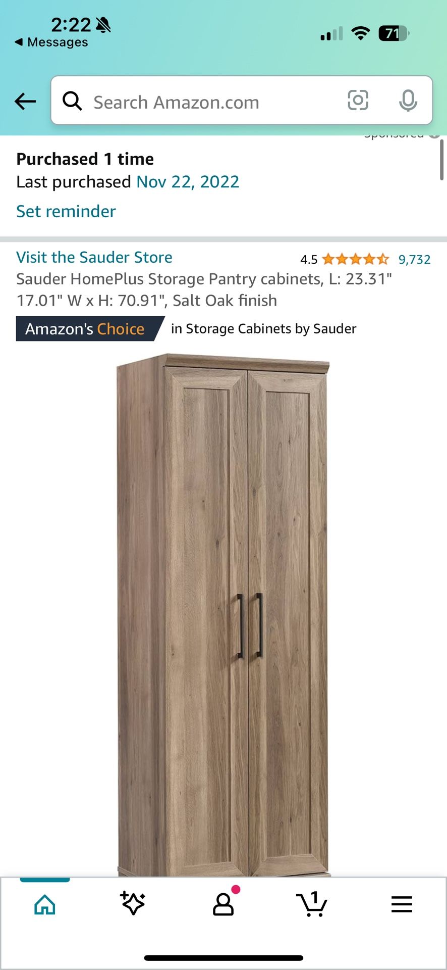 Storage Pantry Closet