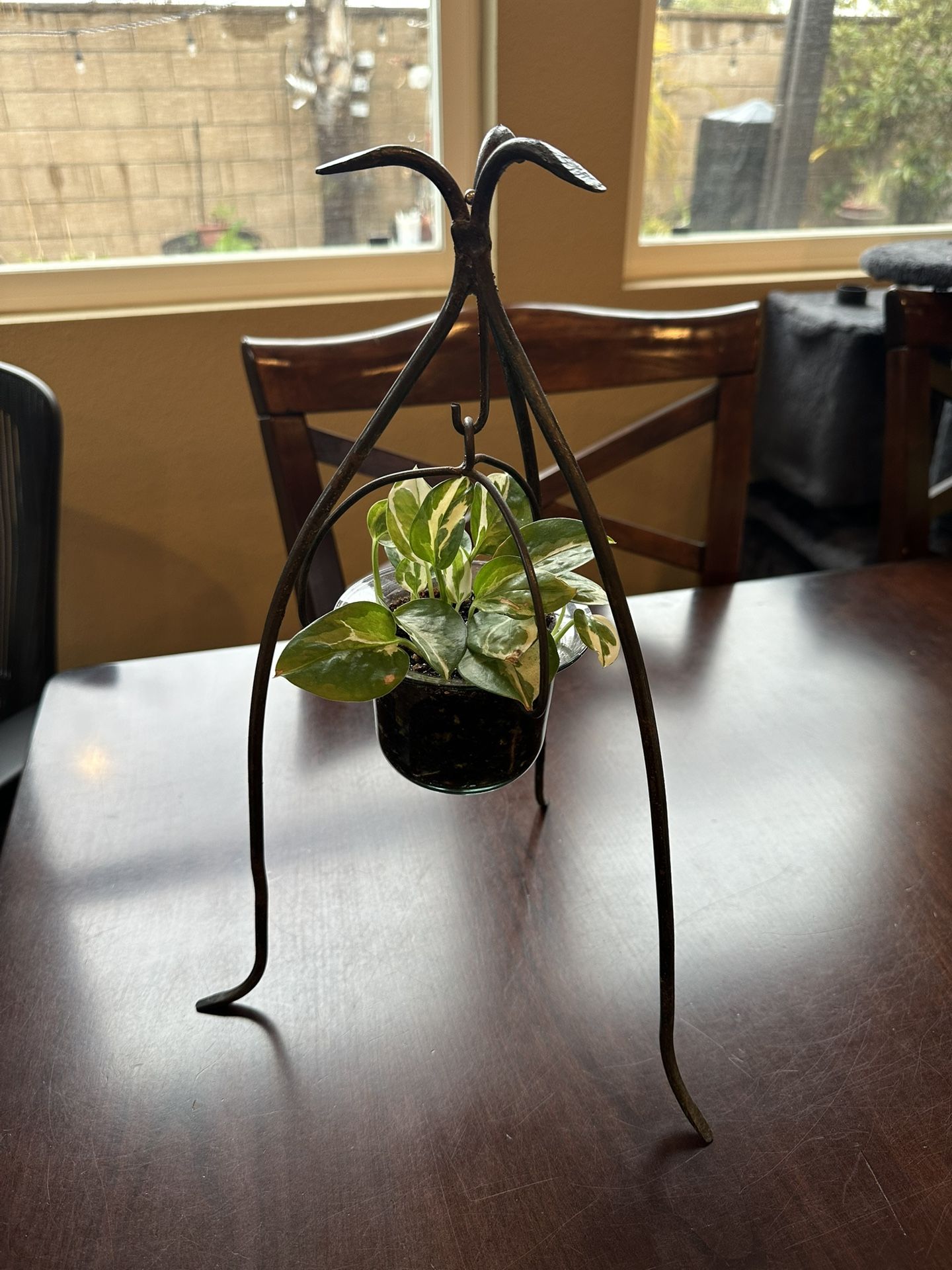 Metal Plant Holder With Live Plant