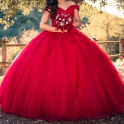 Good Conditions, Worn Once Quinceañera Dress