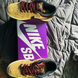 Nike SB Dunk Low Pro